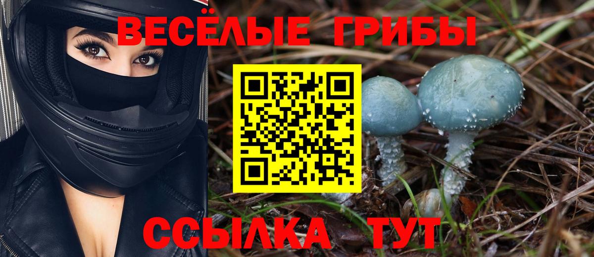Иваново  Псилоцибиновые грибы Magic Shrooms  Вход с VPN 